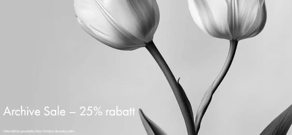 Archive sale-25% rabatt!