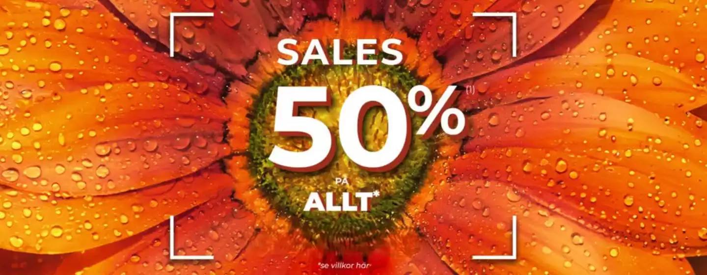 Sale 50% allt!