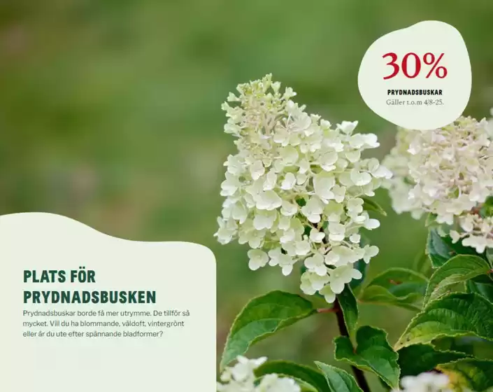 Blomsterlandet-katalog i Andalen | Plats för prydnadsbusken! | 2025-07-28T00:00:00.000Z - 2025-08-04T00:00:00.000Z