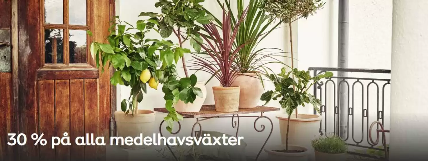 Plantagen-katalog i Trollhättan | Upp till 40%! | 2025-07-29T00:00:00.000Z - 2025-08-12T00:00:00.000Z