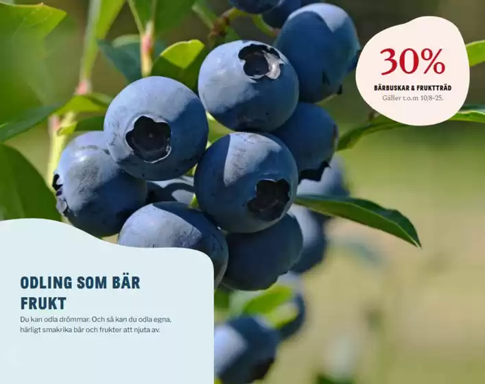 Blomsterlandet-katalog i Växjö | Upp till 30%! | 2025-08-04T00:00:00.000Z - 2025-08-25T00:00:00.000Z