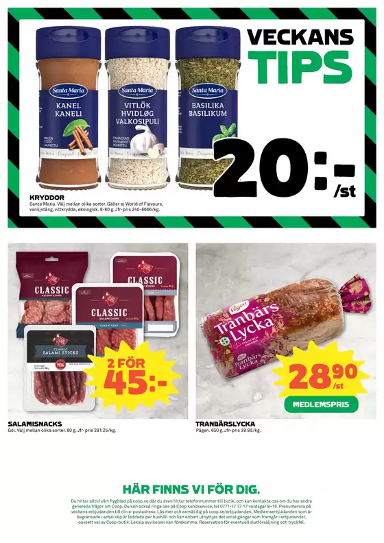 Våra bästa fynd