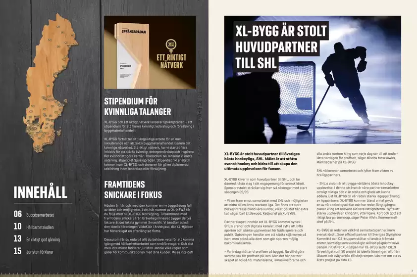 En rikting laginsats!