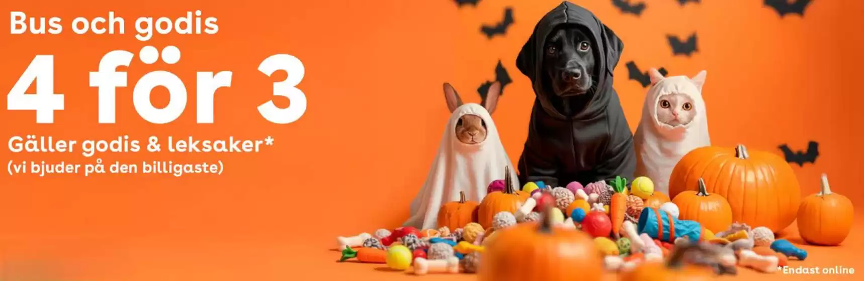 Zoo-katalog i Tranås | Bus och godis 4 för 3! | 2025-10-23T00:00:00.000Z - 2025-11-04T00:00:00.000Z