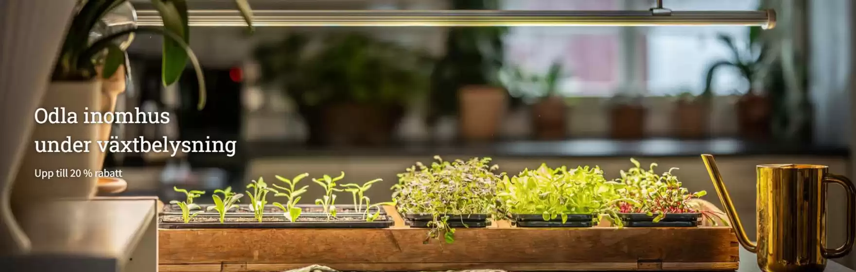 Impecta-katalog i Linköping | Upp till 50% rabatt! | 2025-10-29T00:00:00.000Z - 2025-11-12T00:00:00.000Z