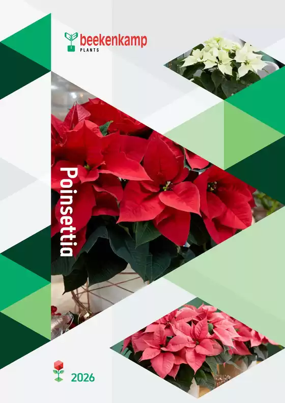 Hörnhems handelsträdgård-katalog | Poinsettia 2026! | 2025-10-30T00:00:00.000Z - 2026-04-30T00:00:00.000Z