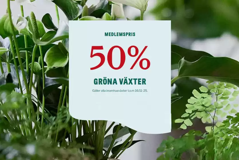 Blomsterlandet-katalog i Eslöv | Kampanjpriser! | 2025-11-12T00:00:00.000Z - 2025-11-27T00:00:00.000Z