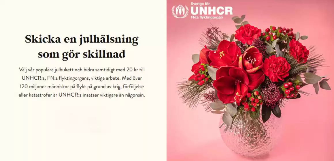 Euroflorist-katalog i Malmö | Skicka en julhälsning som gör skillnad! | 2025-12-15T00:00:00.000Z - 2025-12-29T00:00:00.000Z