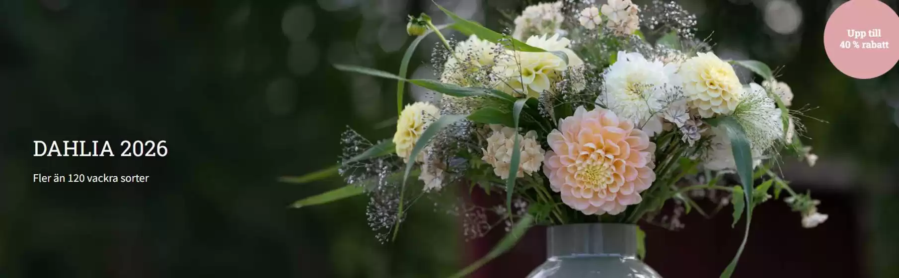 Impecta-katalog i Veberöd | Upp till 40% rabatt! | 2025-12-16T00:00:00.000Z - 2026-01-10T00:00:00.000Z