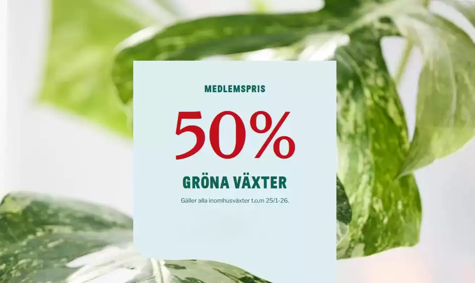 Blomsterlandet-katalog i Gävle | Upp till 50%! | 2026-01-14T00:00:00.000Z - 2026-01-29T00:00:00.000Z