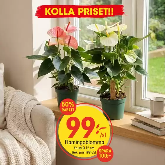 EKO-katalog i Sveg | Aktuella specialerbjudanden | 2026-01-19T00:00:00.000Z - 2026-02-02T00:00:00.000Z