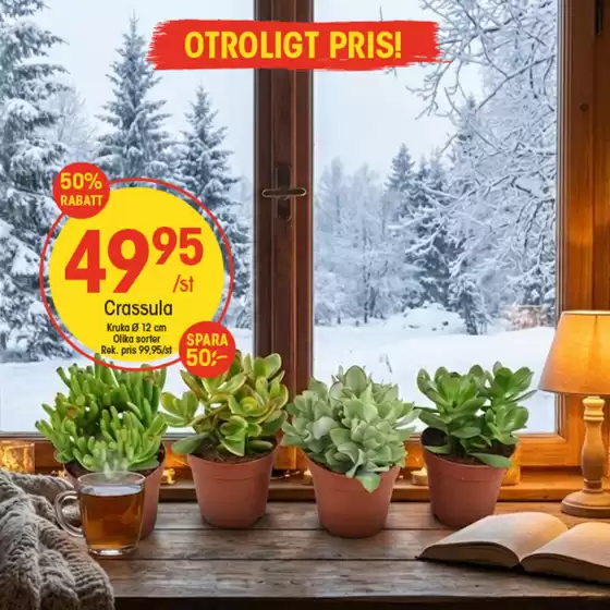 EKO-katalog i Karlsborg (Västra Götaland) | Specialerbjudanden för dig | 2026-01-22T00:00:00.000Z - 2026-02-05T00:00:00.000Z