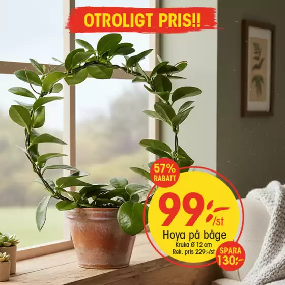 EKO-katalog i Nordanå | Våra bästa deals för dig | 2026-01-29T00:00:00.000Z - 2026-02-12T00:00:00.000Z