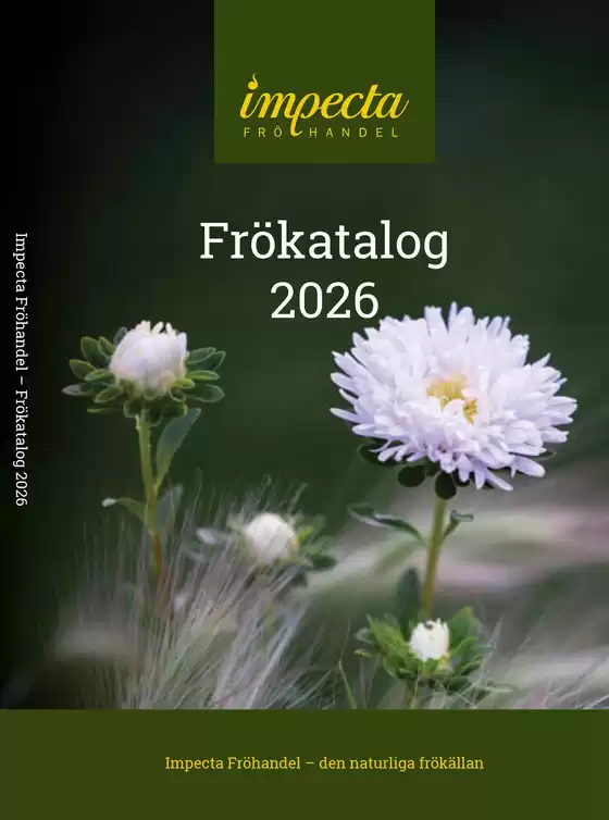 Impecta-katalog i Färjestaden | Frökatalog 2026 | 2026-02-04T00:00:00.000Z - 2026-12-31T00:00:00.000Z