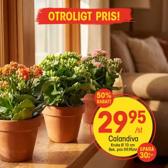 EKO-katalog i Uppsala | Aktuella fynd och erbjudanden | 2026-02-09T00:00:00.000Z - 2026-02-23T00:00:00.000Z