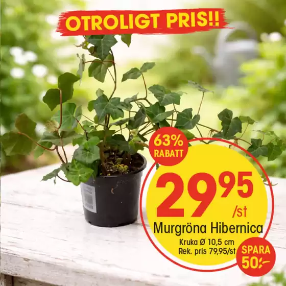 EKO-katalog | Våra bästa deals för dig | 2026-04-07T00:00:00.000Z - 2026-04-21T00:00:00.000Z