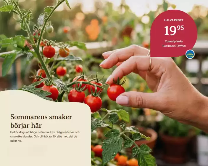 Blomsterlandet-katalog | Halva priset! 20% rabatt. | 2026-04-22T00:00:00.000Z - 2026-04-30T00:00:00.000Z