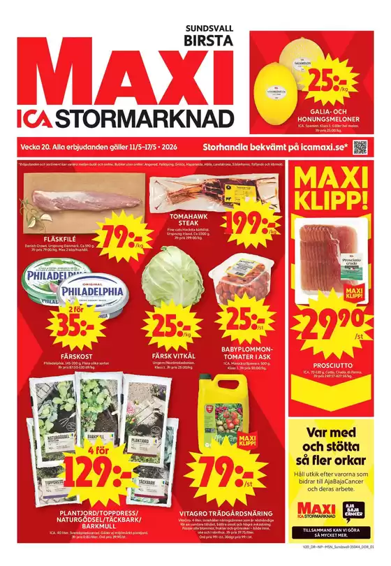 main_flyer image