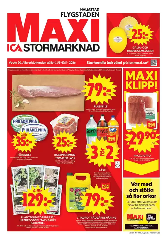 main_flyer image