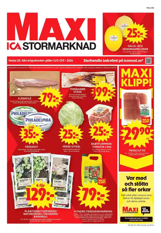 main_flyer image
