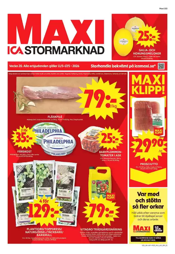 main_flyer image