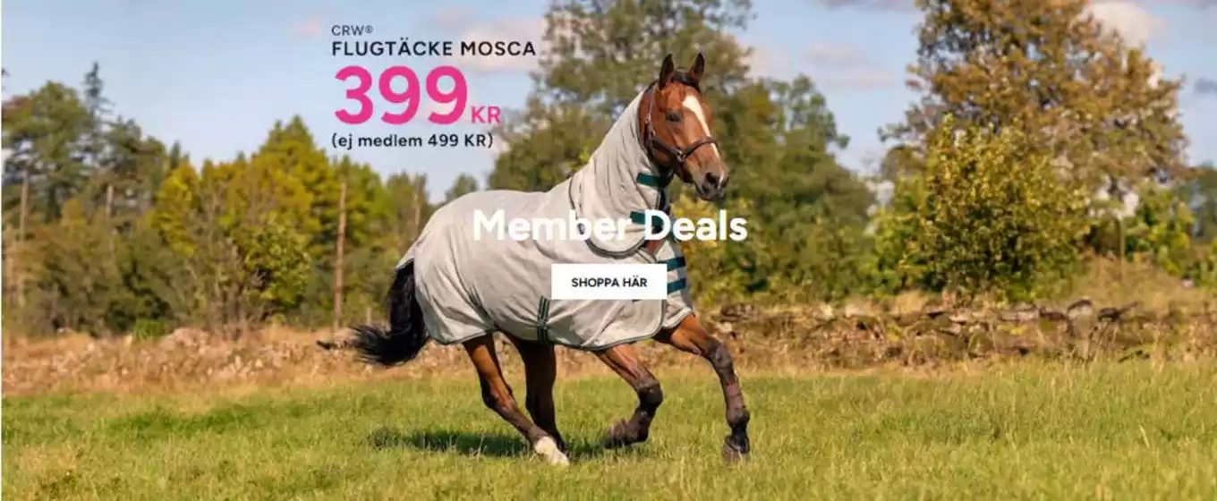 Hööks-katalog | Memeber deals! | 2026-05-21T00:00:00.000Z - 2026-05-31T00:00:00.000Z