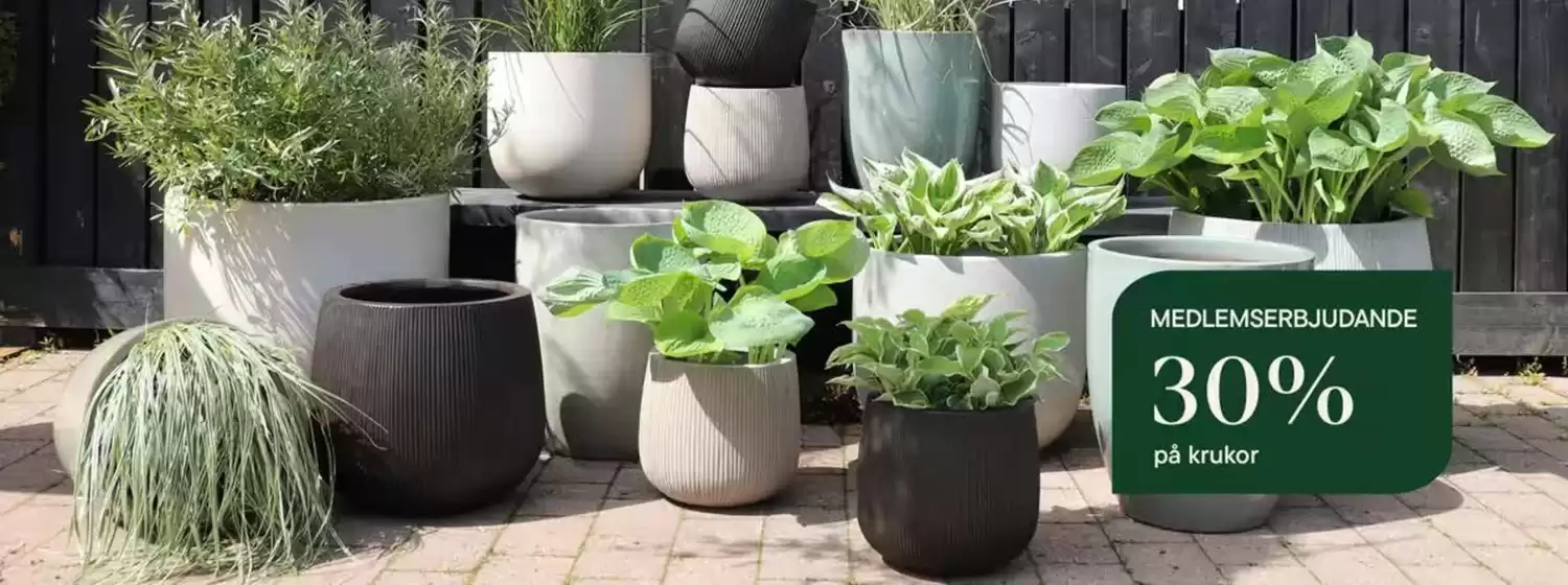 Plantagen-katalog | 30% rabatt! | 2026-05-25T00:00:00.000Z - 2026-06-08T00:00:00.000Z