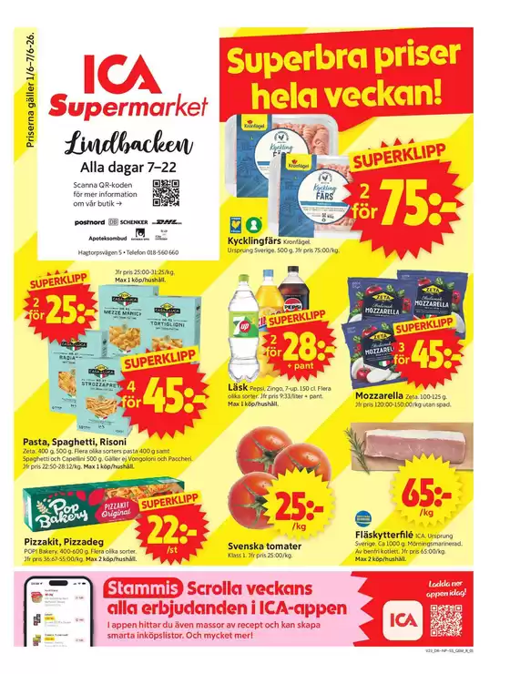 main_flyer image