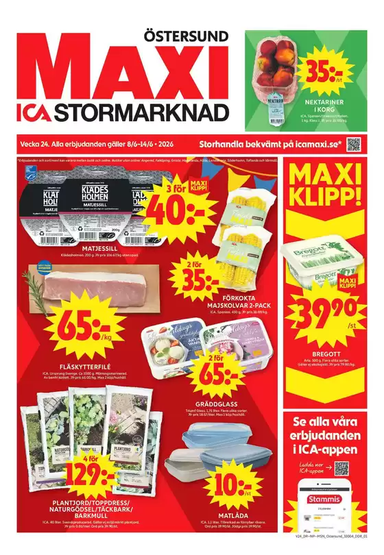 main_flyer image