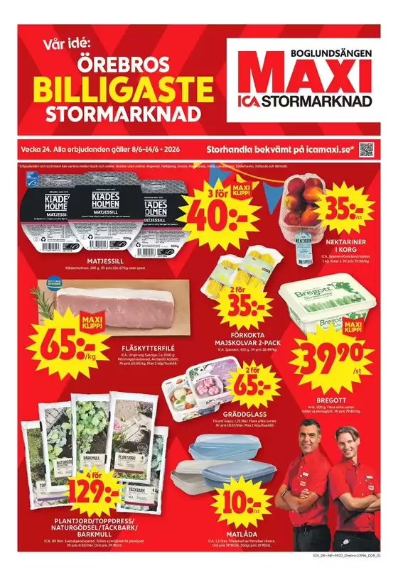 main_flyer image
