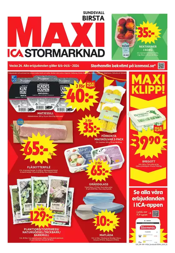 main_flyer image