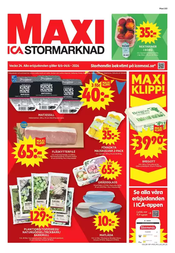 main_flyer image
