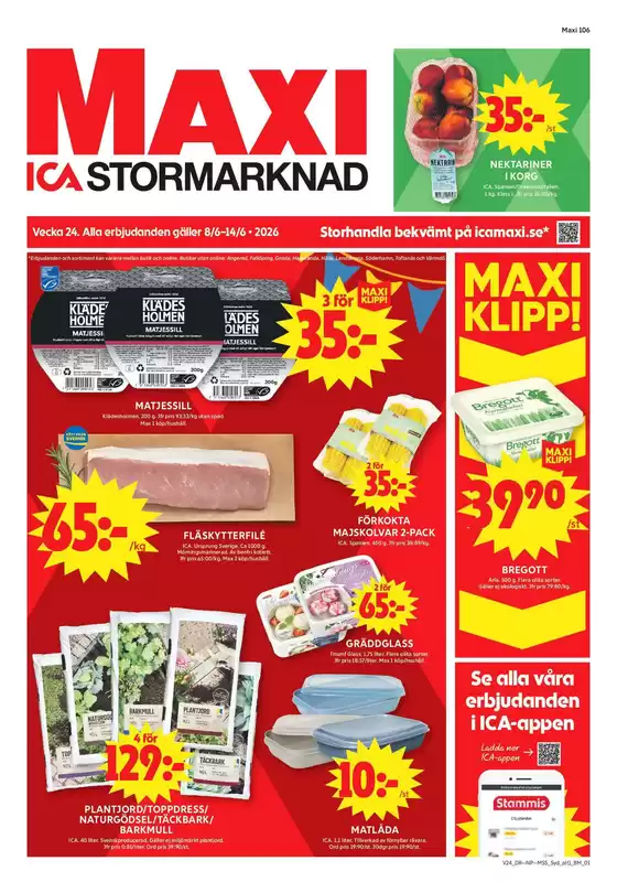 main_flyer image