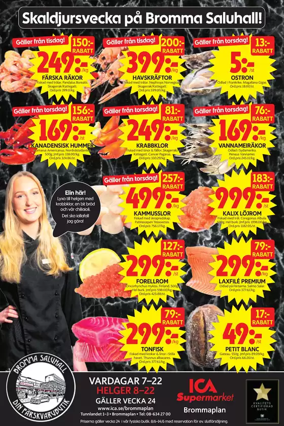 main_flyer image