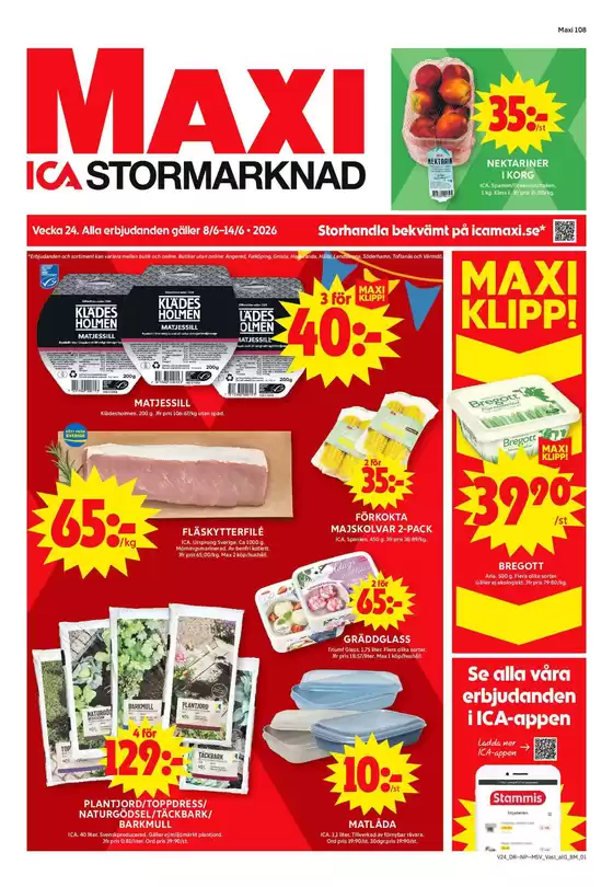 main_flyer image