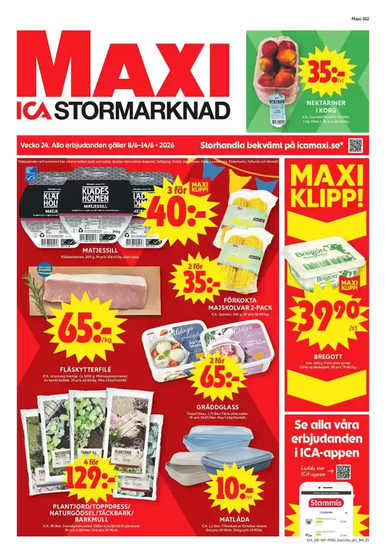 main_flyer image