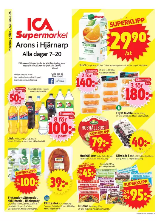 main_flyer image