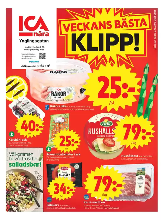 main_flyer image