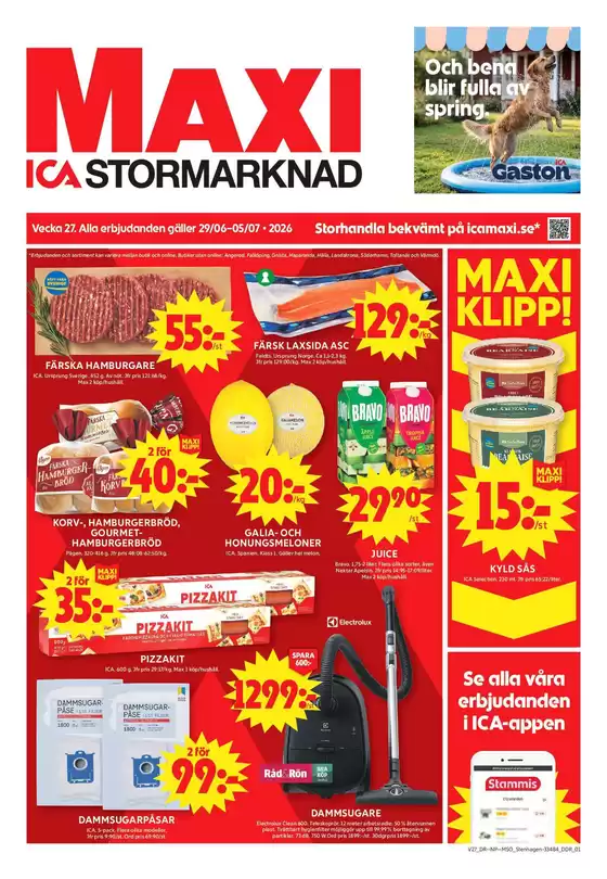 main_flyer image