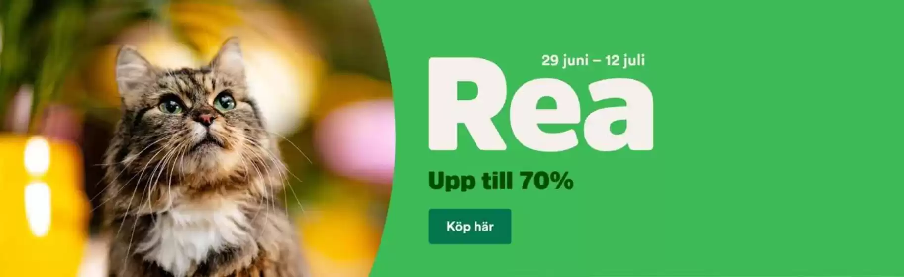 Arken Zoo-katalog i Åmmeberg | Upp till 70%! | 2026-06-29T00:00:00.000Z - 2026-07-12T00:00:00.000Z