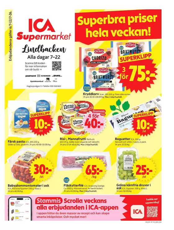 main_flyer image