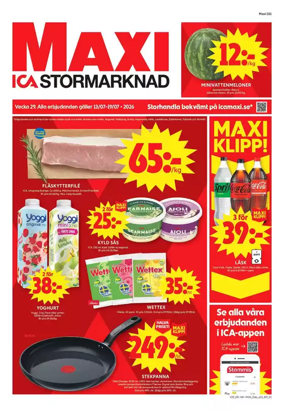 main_flyer image