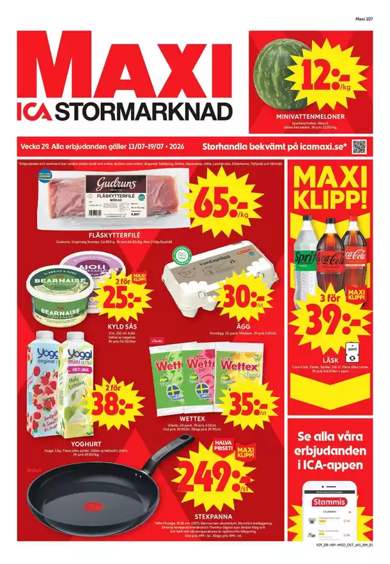 main_flyer image