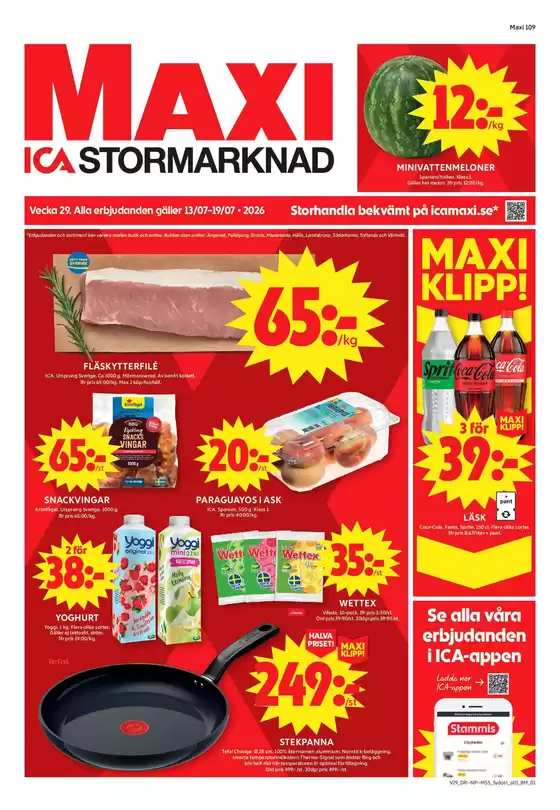 main_flyer image