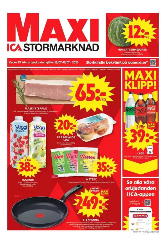 main_flyer image