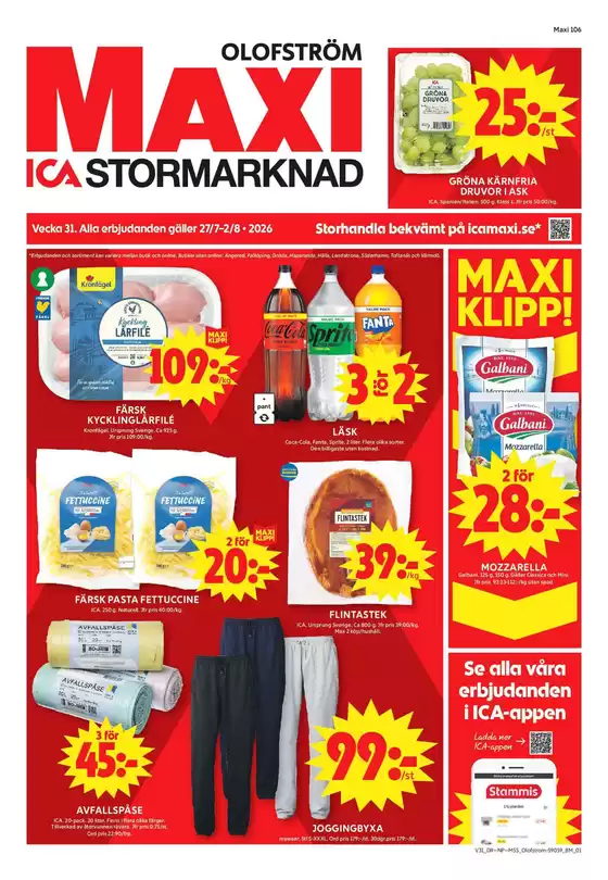 main_flyer image