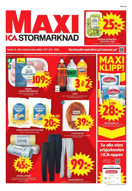 main_flyer image