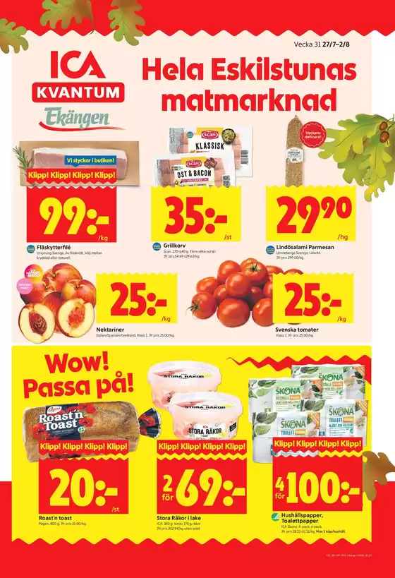 main_flyer image