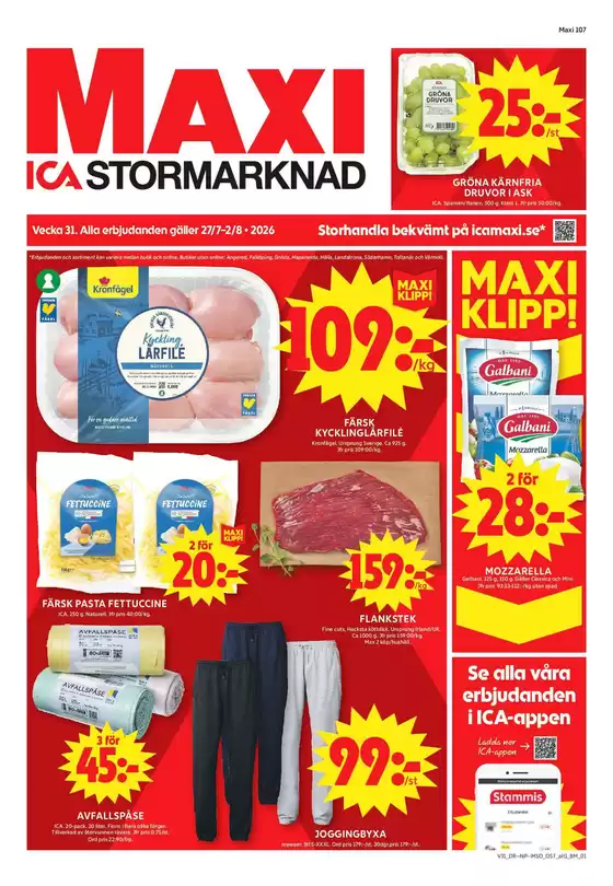 main_flyer image