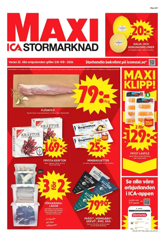 main_flyer image